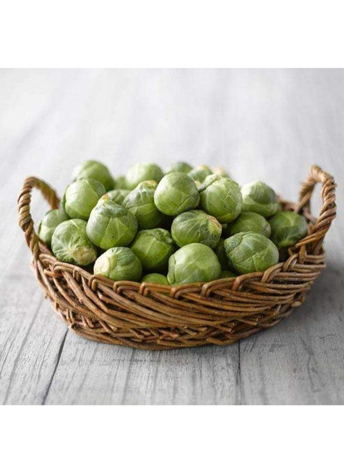 400Pcs Brussels Sprouts Seeds,High Yield Delicious Green Vegetable Seeds for Outdoor Indoor Garden Yard Decoration Brussels Sprout Seeds - Image 2