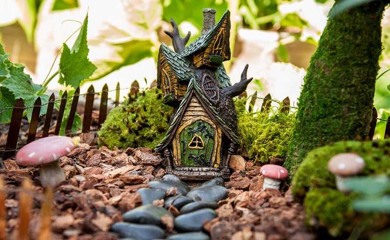 SuperMoss (50310) Fairy Garden Kit, Mixed Mosses, 4 oz., Multicolor - Image 5