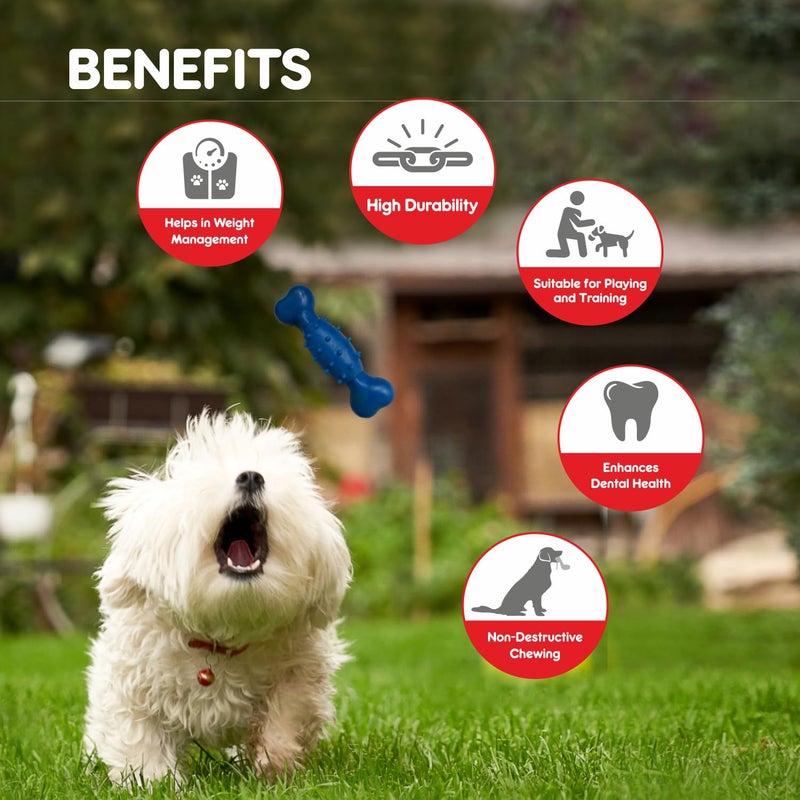 Drools Dog Non-Toxic Rubber Toy for Dogs, Spike Bone 80g Pack - Image 5