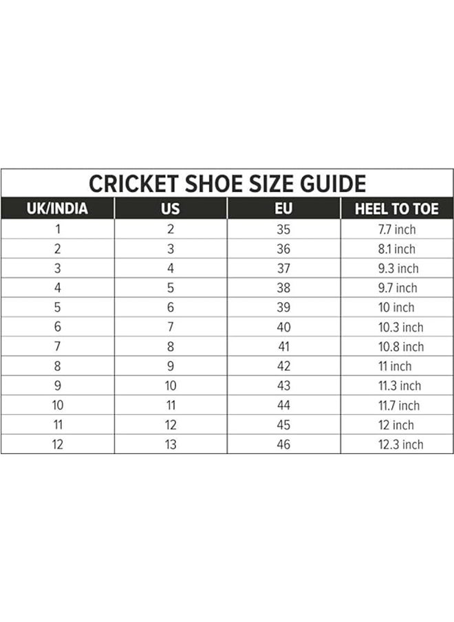 Jaffa 22 Cricket Shoes | For Mens & Boys | Material: Mesh | Breathable Mesh | Non-Slip Sole for Improved Durability for Stability