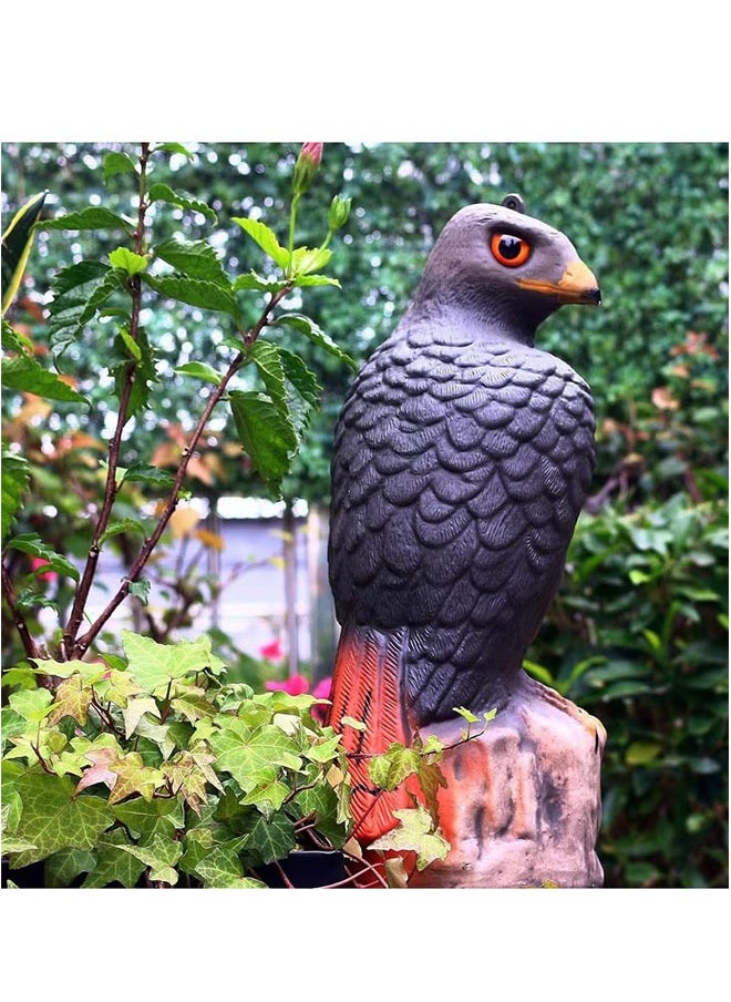 Realfrog - Bird Control Scare Device, Realistic Falcon Statue, Bird Repelling Falcon, Plastic Bird Scarecrow, Eagle Decoy For Garden Protection And Outdoor Decoration 1 Piece - Image 1