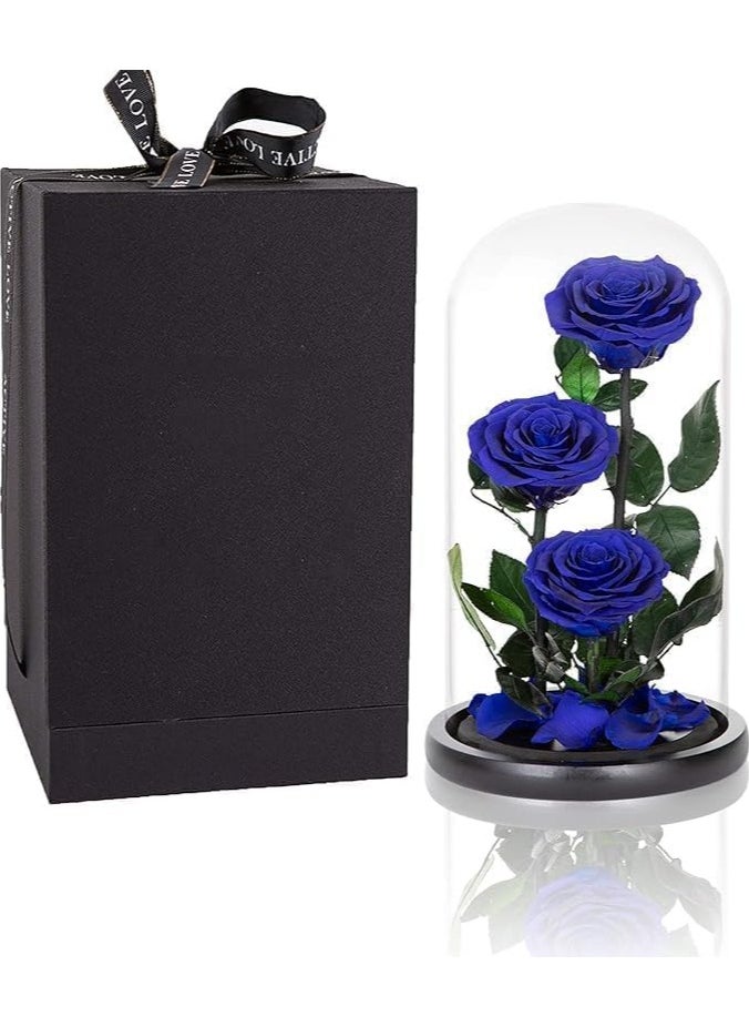 Festive Gallery Handmade Preserved Rose Forever Never Withered Flowers,Valentine's Gift for Wedding,Anniversary,Birthday, Mother's Day Gift, Best Gift for Her Rose (Triple Roses, Blue)  - Image 1