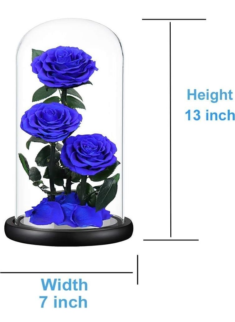 Festive Gallery Handmade Preserved Rose Forever Never Withered Flowers,Valentine's Gift for Wedding,Anniversary,Birthday, Mother's Day Gift, Best Gift for Her Rose (Triple Roses, Blue)  - Image 2