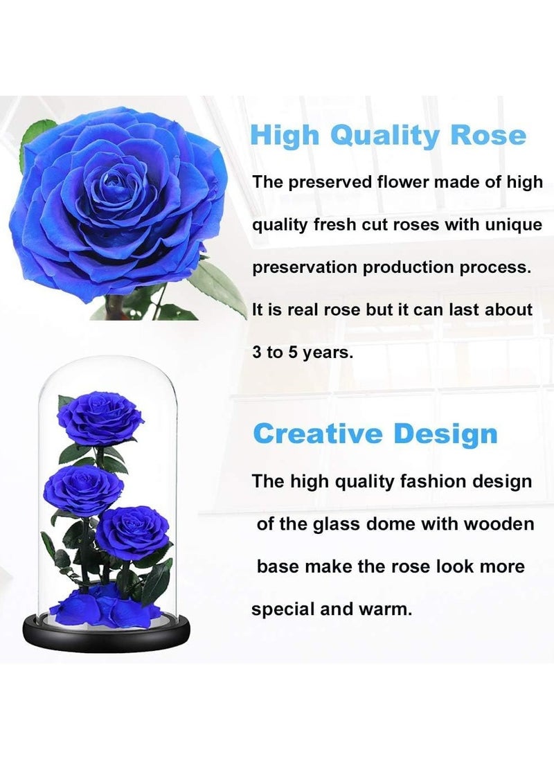 Festive Gallery Handmade Preserved Rose Forever Never Withered Flowers,Valentine's Gift for Wedding,Anniversary,Birthday, Mother's Day Gift, Best Gift for Her Rose (Triple Roses, Blue)  - Image 3