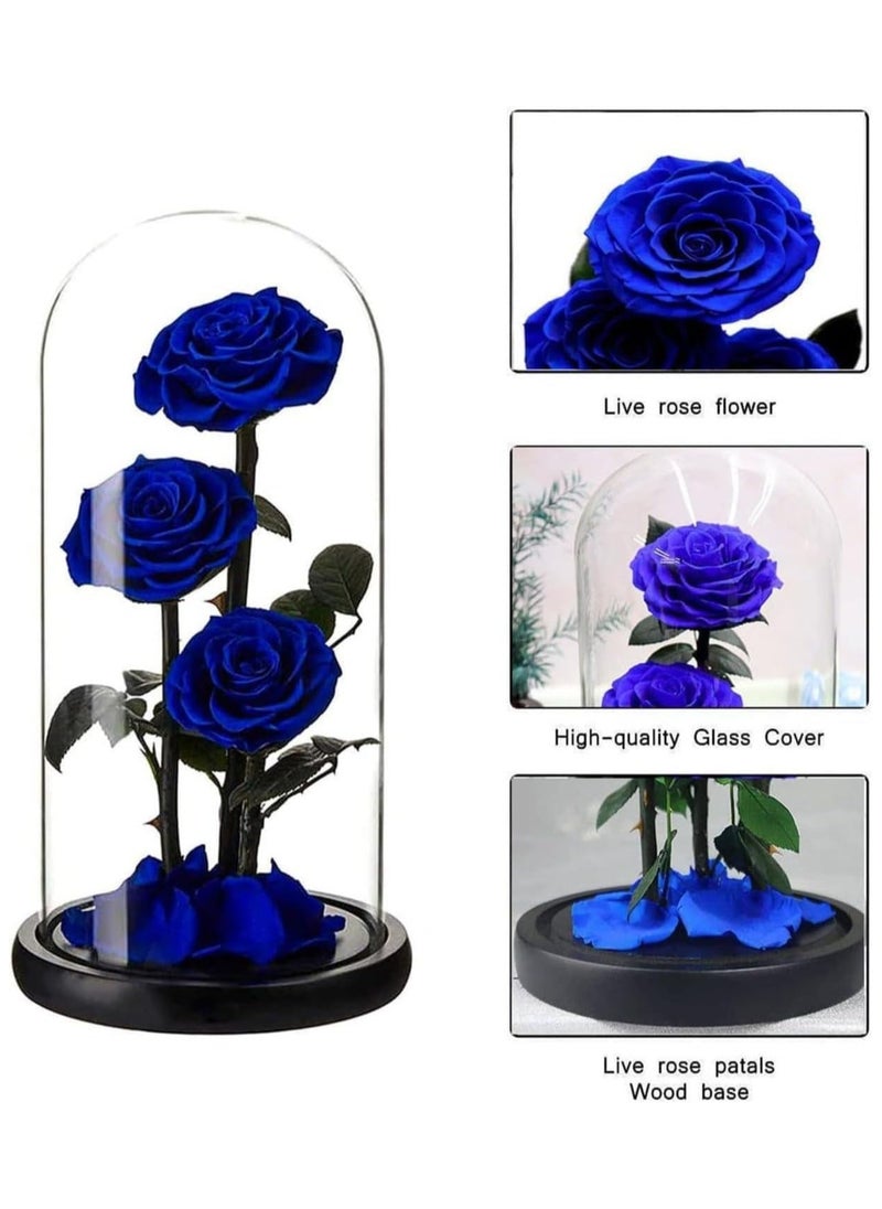 Festive Gallery Handmade Preserved Rose Forever Never Withered Flowers,Valentine's Gift for Wedding,Anniversary,Birthday, Mother's Day Gift, Best Gift for Her Rose (Triple Roses, Blue)  - Image 4
