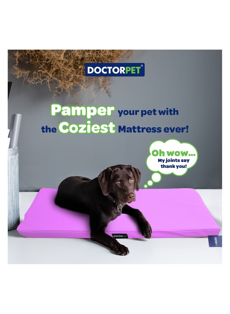 DOCTERPET Doctor Pet Gelato Series Crate Mattress Small - 46x61x6cm - Lilac - Soft Washable Fabric, Cooling Effect, Eco-Friendly Fill, Non-Slip Base - Ideal for Cats & Small Dogs - Image 2