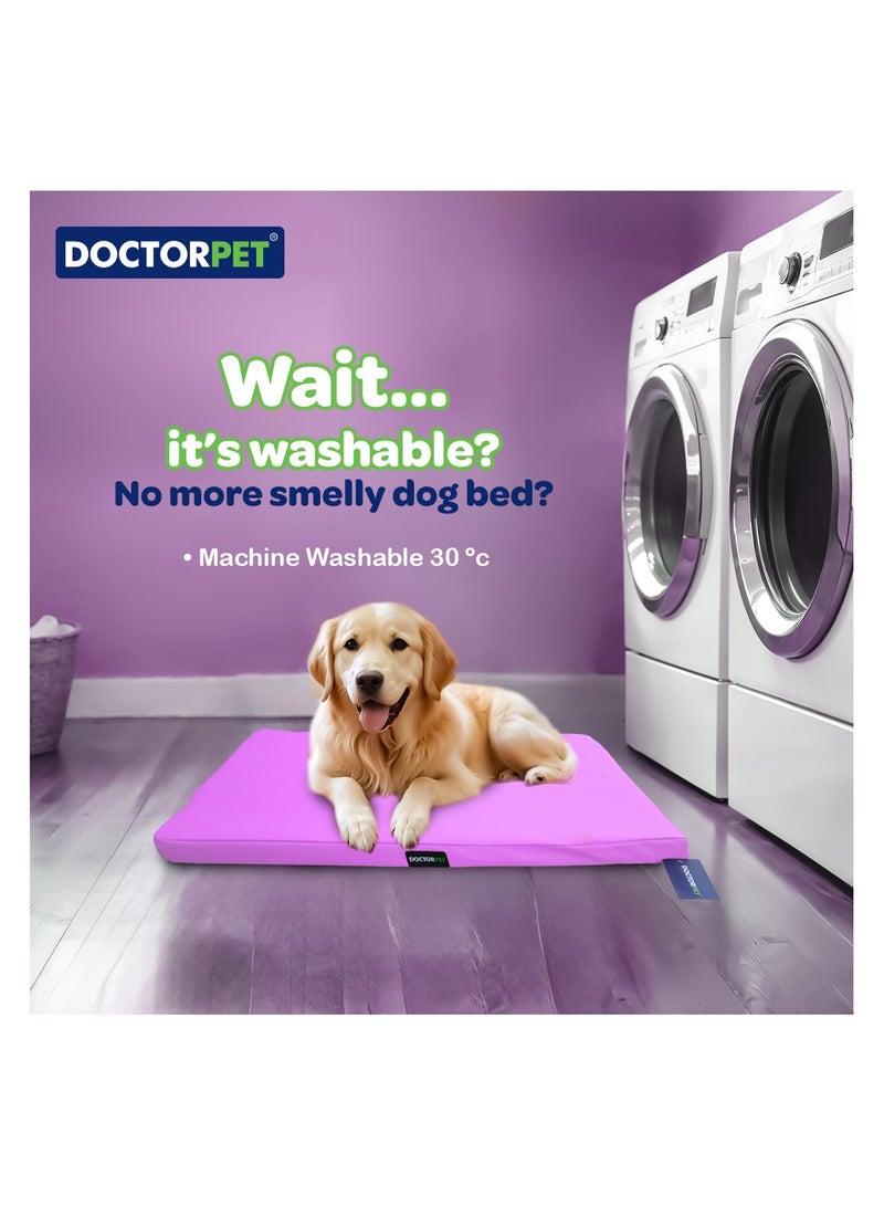 DOCTERPET Doctor Pet Gelato Series Crate Mattress Small - 46x61x6cm - Lilac - Soft Washable Fabric, Cooling Effect, Eco-Friendly Fill, Non-Slip Base - Ideal for Cats & Small Dogs - Image 3