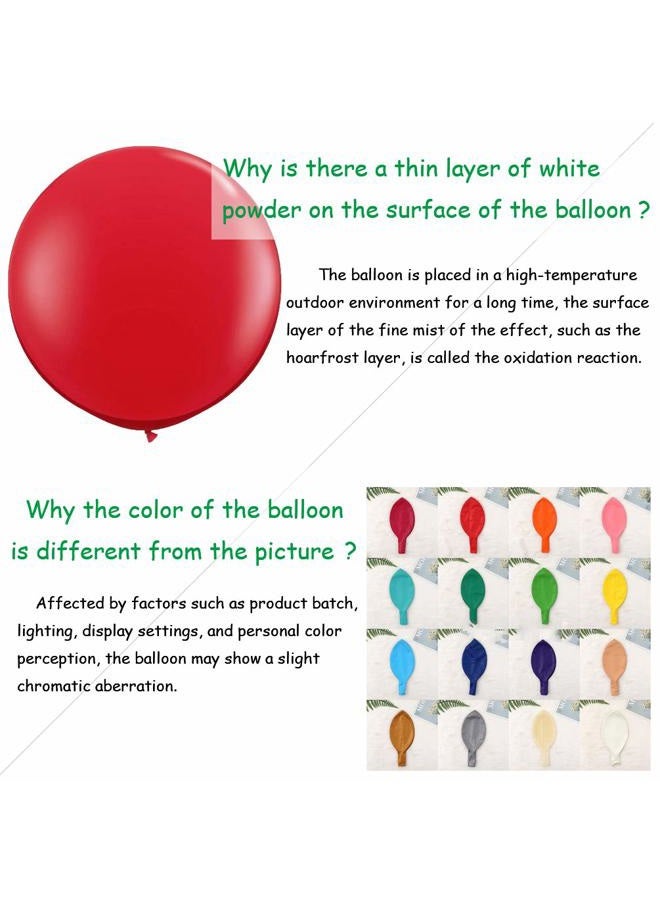 IN-JOOYAA 24 Inch Latex Round Balloons 10 Pack White Thick Big Balloons for Photo Shoot Wedding Baby Shower Birthday Party Decorations - Image 3