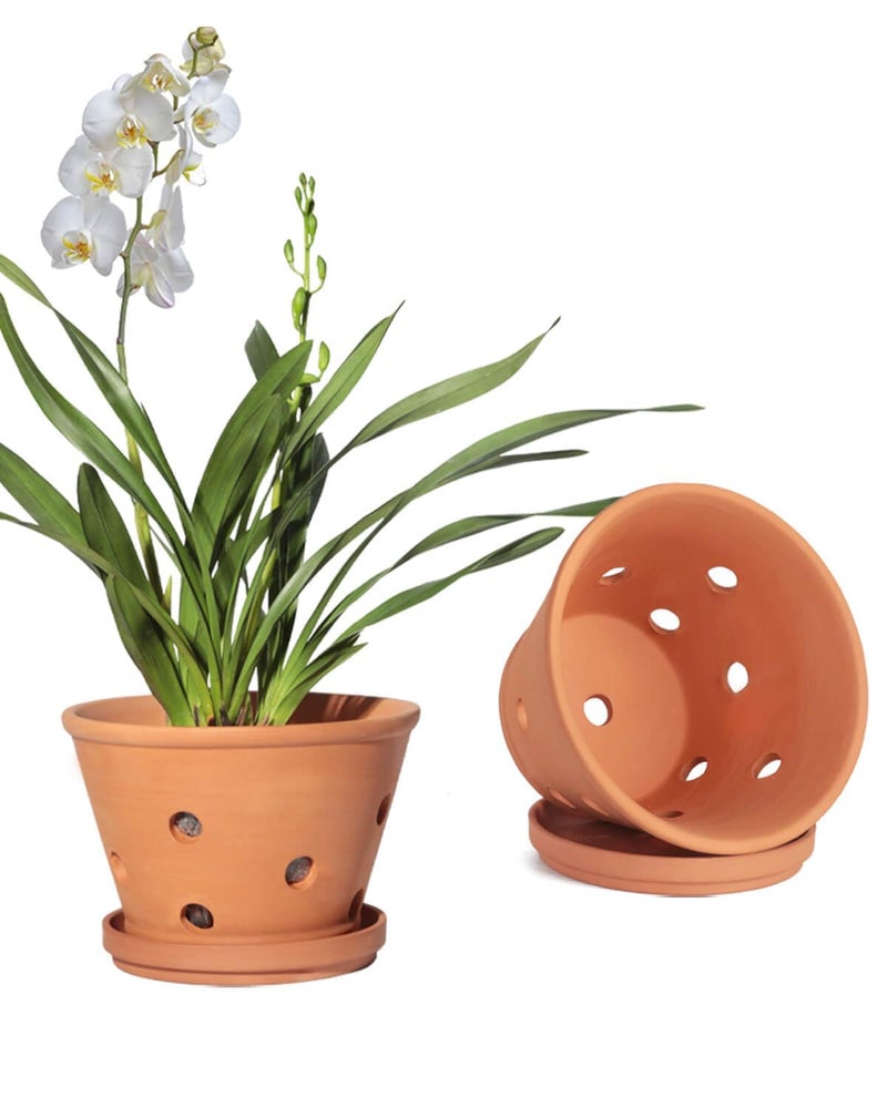 vensovo 8 Inch Terracotta Orchid Pots with Holes and Saucers, 2 Pack Large Clay Planters for Repotting, Terra Cotta Pots for Indoor & Outdoor Plants, Promotes Air Circulation - Image 1