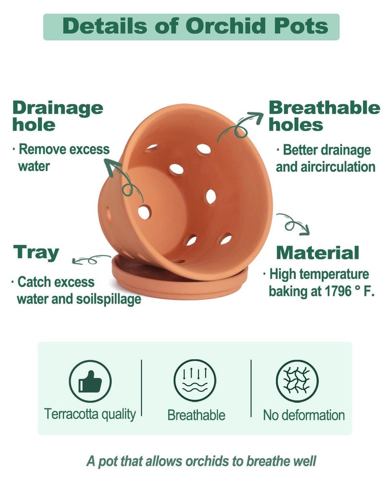 vensovo 8 Inch Terracotta Orchid Pots with Holes and Saucers, 2 Pack Large Clay Planters for Repotting, Terra Cotta Pots for Indoor & Outdoor Plants, Promotes Air Circulation - Image 3