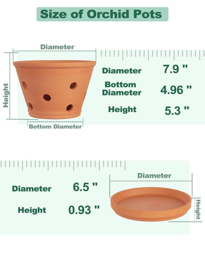 vensovo 8 Inch Terracotta Orchid Pots with Holes and Saucers, 2 Pack Large Clay Planters for Repotting, Terra Cotta Pots for Indoor & Outdoor Plants, Promotes Air Circulation - Image 2