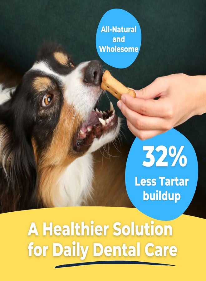Tartar Shield Dental Dog Biscuits | Safe Daily Treats | Cookie Cleans Teeth & Gums Fresh Breath Natural Oral Health Support | Tasty Lean Chicken Flavor | USA Made - Image 2