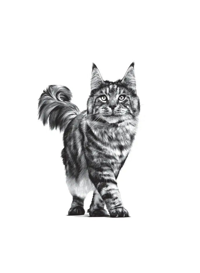 Royal Canin Sensitivity Control Dry Cat Food, Complete Nutrition for Adult Cats, 1.5 kg - Image 2