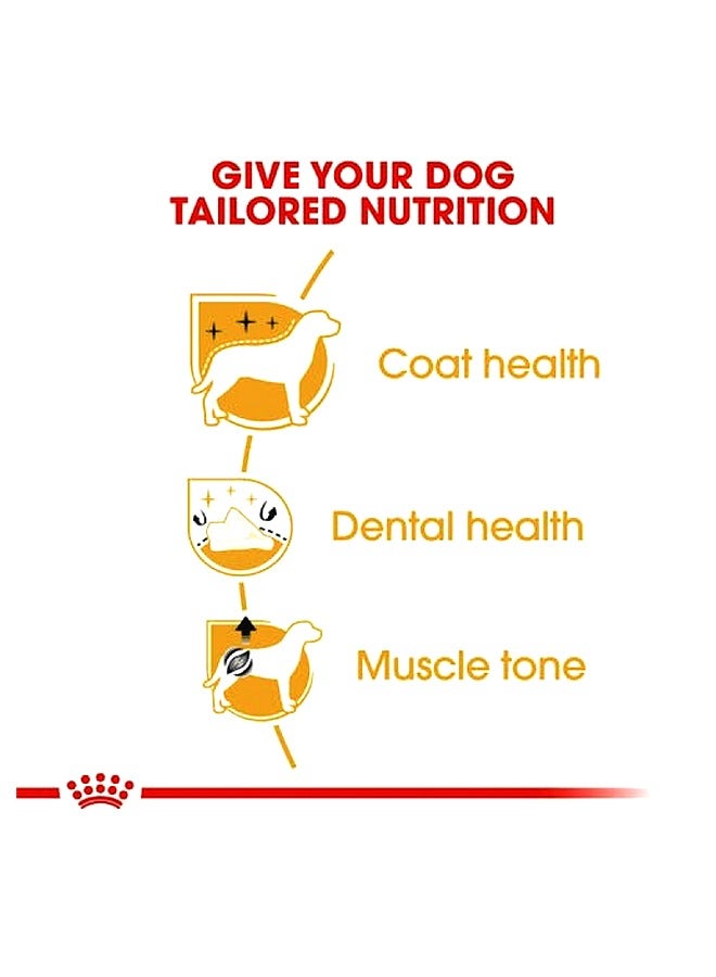 رويال كانين صحة وتغذية السلالة بودل بالغ - 7.5 كجم - Image 3