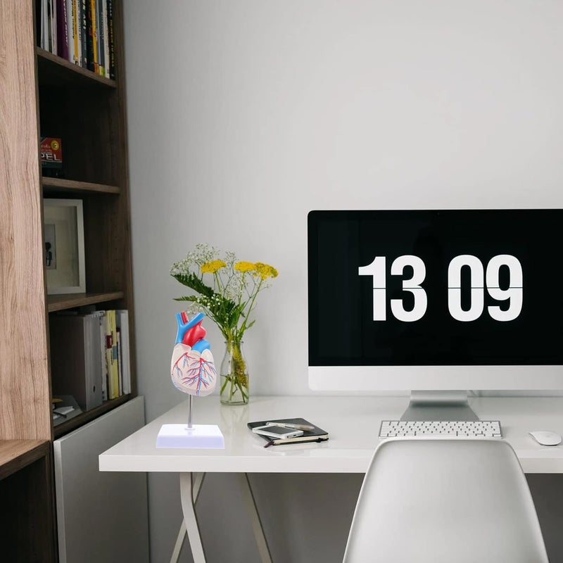 كلاراكو كلاركوا نموذج قلب شفاف، نموذج قلب للتدريس، نموذج عرض القلب، نموذج قلب طبي، نموذج تشريحي لقلب الإنسان، أداة تعليمية لجسم الإنسان، بلاستيك - Image 4