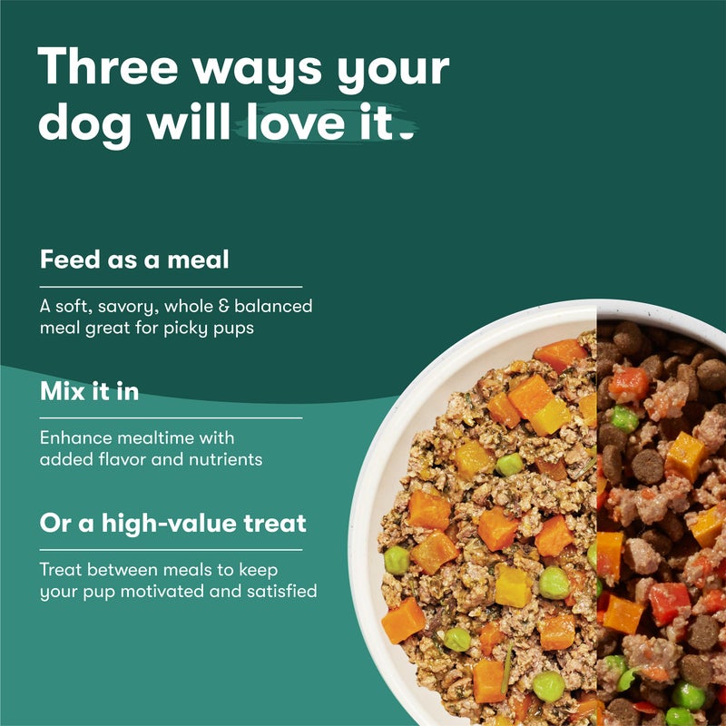 Jinx Salmon Grain Free Wet Dog Food Toppers, Meal or Mix with Dry Dog Food, Made with Real Salmon & Chicken, Bone Broth, No Fillers, Puppy, Adult, Senior, 9oz, 6 Pack - Image 3