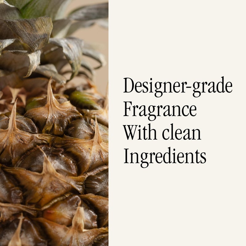 Pura & Tommy Bahama Home Scent Refill - Smart Home Air Diffuser Fragrance - Up to 120-Hours of Premium Fragrance per Refill - Household Essential - Diffuser Fragrance - 2 Pack  Pineapple Cilantro - Image 4