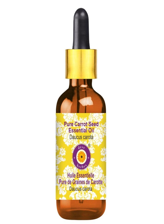 ديف هيربس زيت بذور الجزر العطري من ديف هيربس (Daucus carota) مع قطارة زجاجية، نقي | غير لزج | غير دهني | خفيف الوزن | للرجال والنساء | لجميع أنواع البشرة | مقطر بالبخار 100 مل - Image 1