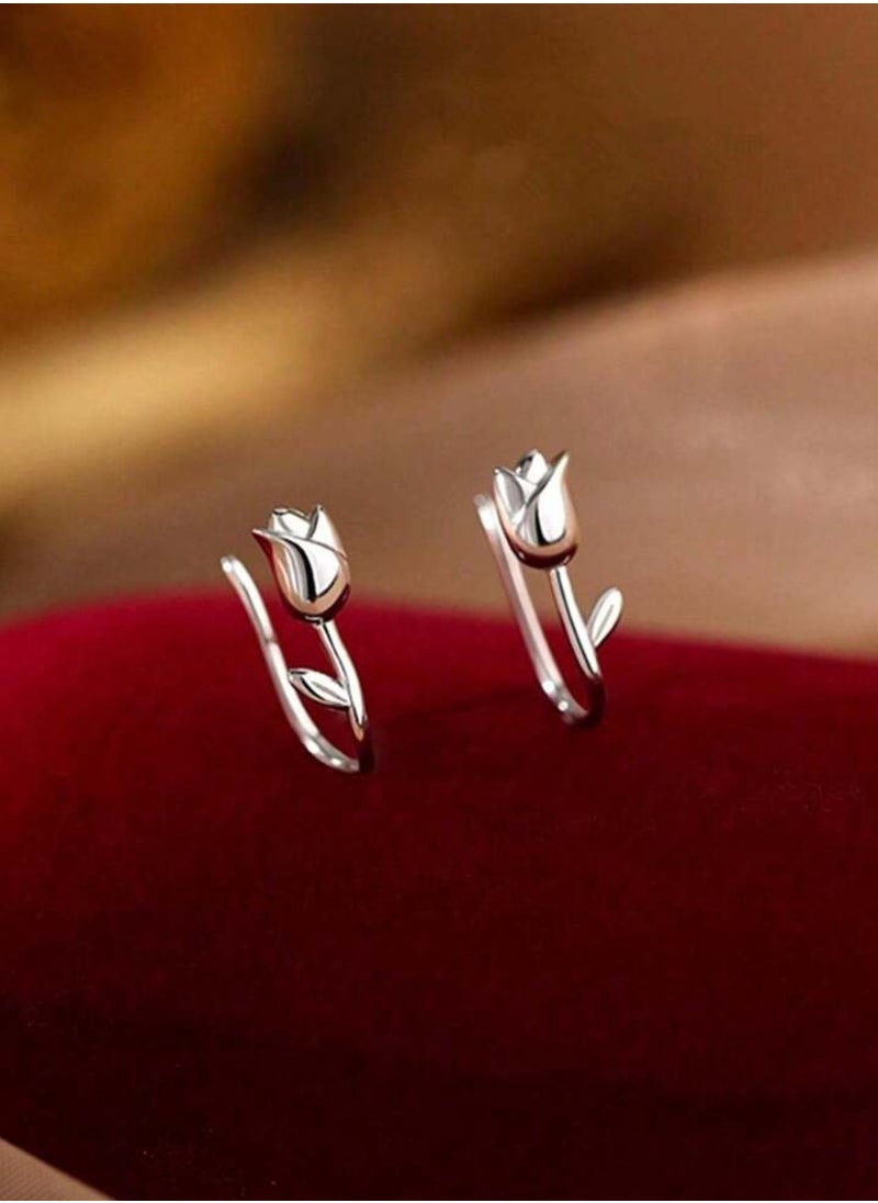 Very Small Silver Plated Earrings For Women - pzsku/Z3C9C08DE842729140CADZ/45/_/1721506321/dc1043e1-adcf-49b9-9eb9-d1e249169584