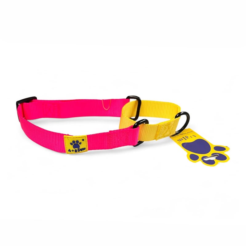 A+a Pets Martingale Dog Collar | No Pull Design, No Neck Strain, No Choke Design | for Large & Medium Dogs | Rust Free, Waterproof Nylon Training Collar (Pink & Yellow), 30 x 2.5 cm - Image 1