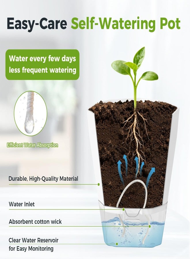 Planterhoma 6 Pack Self Watering Pots for Indoor Plants, 8.4 Inches Self Watering Planters Large African Violet Self Watering Clear Pots for Plants Large Herb Orchid Flower Houseplant Pots, White - Image 5