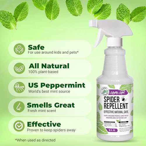 Mighty Mint Peppermint Oil Spider Repellent Spray – Natural Indoor & Outdoor Bug Control for Spiders and Insects – Plant-Based, Extra-Strong Formula - 16 oz - Image 3