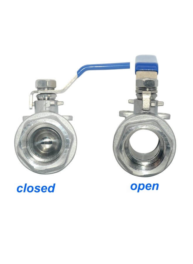 DAN SPEED 2 NPT Female 316 Stainless Steel Full Port Ball Valve Vinyl Handle WOG1000 - Image 5