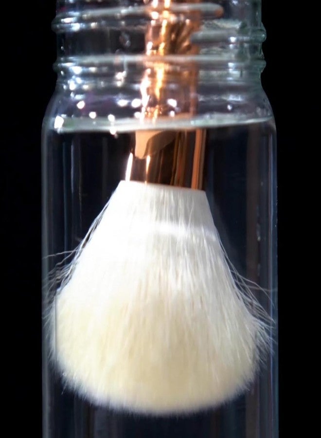 Creative Mark فرش مكنسة شعر الماعز الأبيض الطبيعي من كرييتف مارك - فرش للدهان بالأكريليك، الزيت، الألوان المائية والمزيد - دائري - الحجم # 16 - عبوة من 2 - Image 4