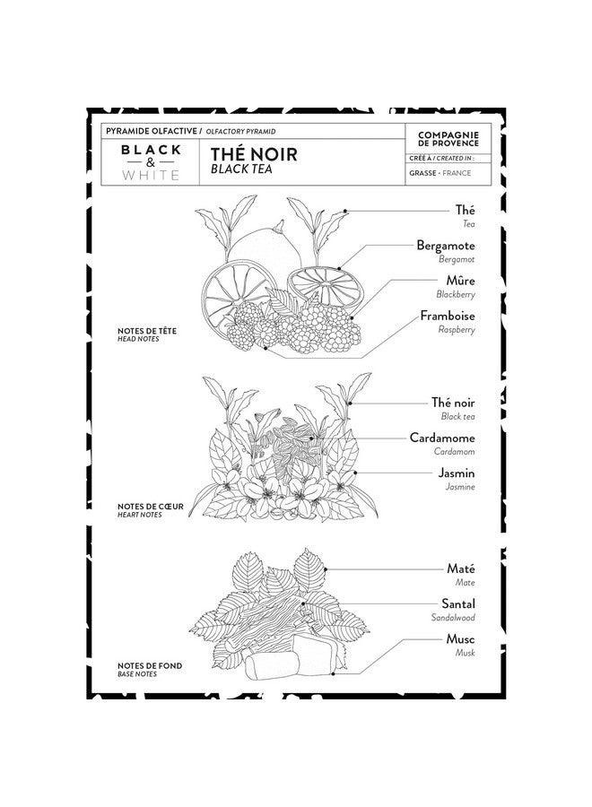 La Compagnie de Provence Compagnie de Provence - Liquid Soap and Luxury Hand Cream - Black Tea - Image 3