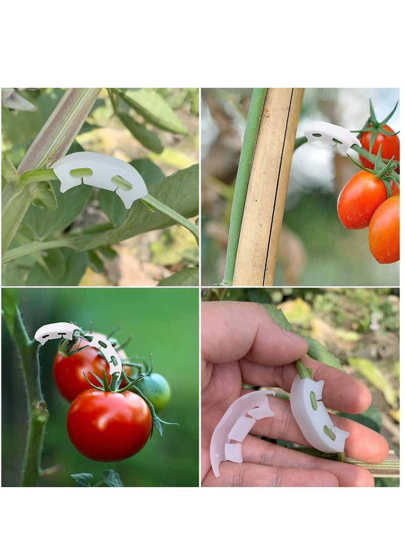 SYOSI 150 Pieces 90 Degree Plant Clips Branches Clips Control The Growth of Plants Branches Clamps for Low Stress Planting Clip  - Image 5