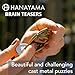BePuzzled Jam Hanayama Cast Metal Brainteaser Puzzle Mensa Rated Level 3 for Ages 12 and Up - Image 4