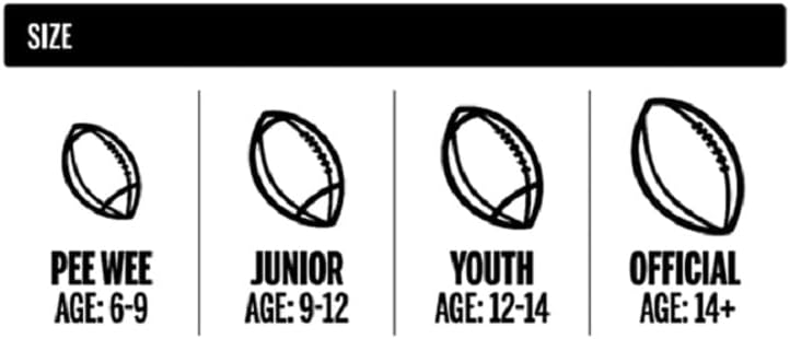 Wilson NFL Mini Autograph Football - Mini, Brown/White - Image 2