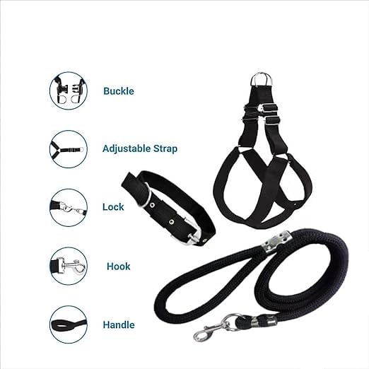 Agirav Dog Combo Pack of Harness, Neck Collar Belt and Rope Set (Black, Medium, Waterproof, Rope Size 1.5M-2M) (Blue) - Image 4