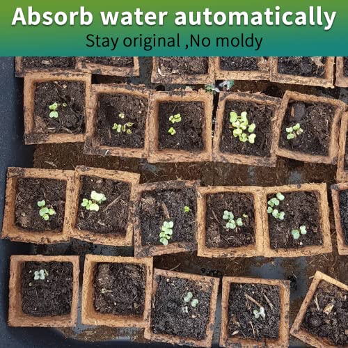 TCBWFY 320Cells Seedling Start Trays,20 Pack Peat Pots Seedling Pots Biodegradable,Seedling Starter Kit,Organic Germination Plant Starter Trays - Image 5