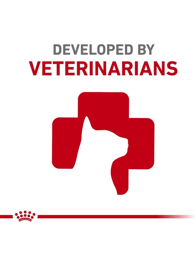 رويال كانين طعام قطط بالغ رطب في الصوص – ٨٥ جم × ١٢ أكياس - Image 2