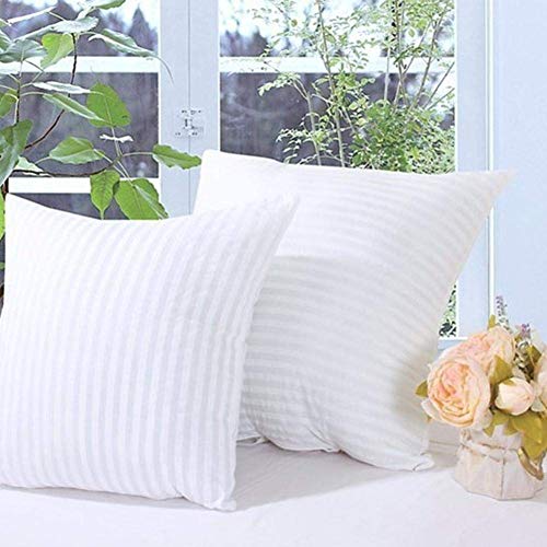JDX Micro Fibre Silknise Cushion Filler (60X60cms, White) - Set of 2 - Image 1