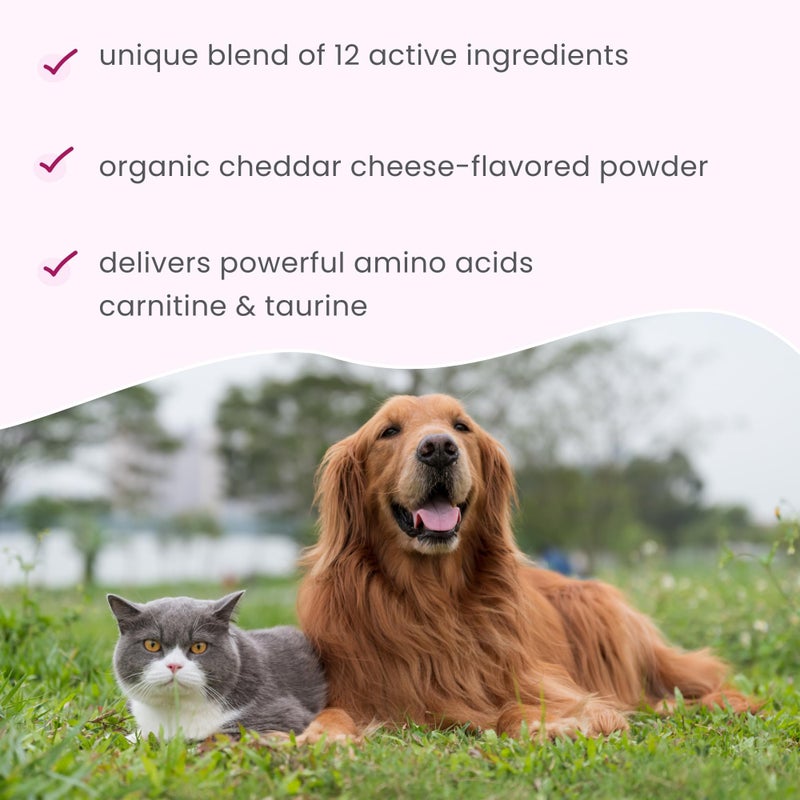 Dr. Mercola Bark & Whiskers Heart Health for Dogs & Cats, 3.17 oz. (90g), 90 Scoops, Cheddar Cheese Flavor, Supports Cardiovascular Health and Function, Veterinarian Formulated, Non-GMO, Dr. Mercola - Image 5