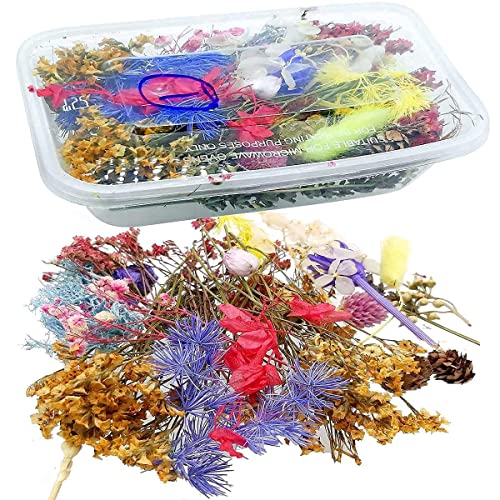 Prokart [1 Box Set] Real Natural Dried Flowers for Art & Craft - Multicolour Floral Mix for Resin, Candles, Soap & DIY Projects [Design May Vary, Random Box, Multicolour] - Image 4
