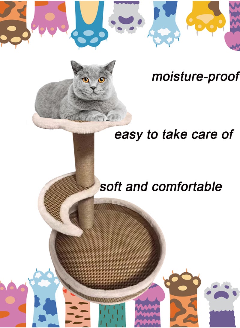كيدل القط تسلق شجرة  - Image 4