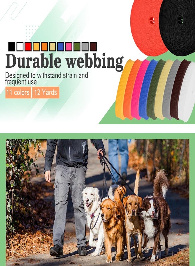 CooBigo Polypropylene Webbing Strap 3/4" Durable Poly Strapping 12 Yards 3/4 inch Wide Webbing Strap for Backbag,Pool Solar Cover,DIY Crafting,Pet Collar,Outdoor Gear - Image 3