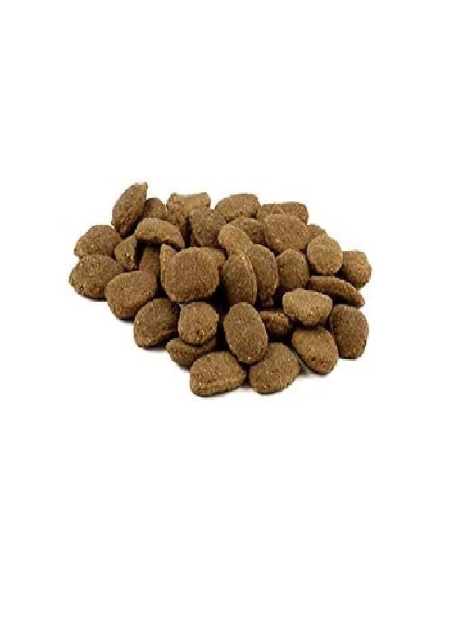 (فيش٤دوجس) طعام جاف للكلاب البالغة من Fish4Dogs (مجموعة Finest): سمك أبيض، حبيبات كبيرة - Image 5