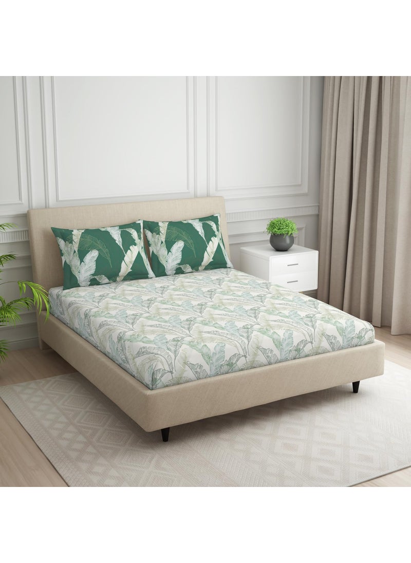 SPACES SPACES 100 Cotton Double Bedsheet with 2 Pillow Covers Size 88 x 100 inch 132 TC Bed Sheet for Double Bed Breathable Pure Cotton Queen Size Bedsheet Tropica Floral Light Green  - Image 2