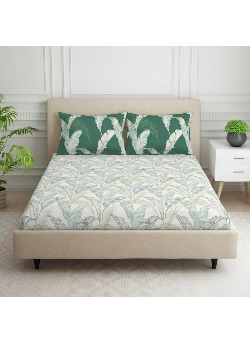 SPACES SPACES 100 Cotton Double Bedsheet with 2 Pillow Covers Size 88 x 100 inch 132 TC Bed Sheet for Double Bed Breathable Pure Cotton Queen Size Bedsheet Tropica Floral Light Green  - Image 1