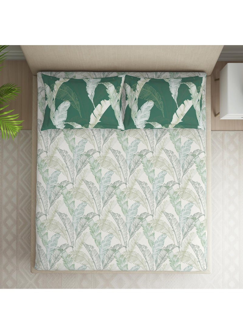 SPACES SPACES 100 Cotton Double Bedsheet with 2 Pillow Covers Size 88 x 100 inch 132 TC Bed Sheet for Double Bed Breathable Pure Cotton Queen Size Bedsheet Tropica Floral Light Green  - Image 3