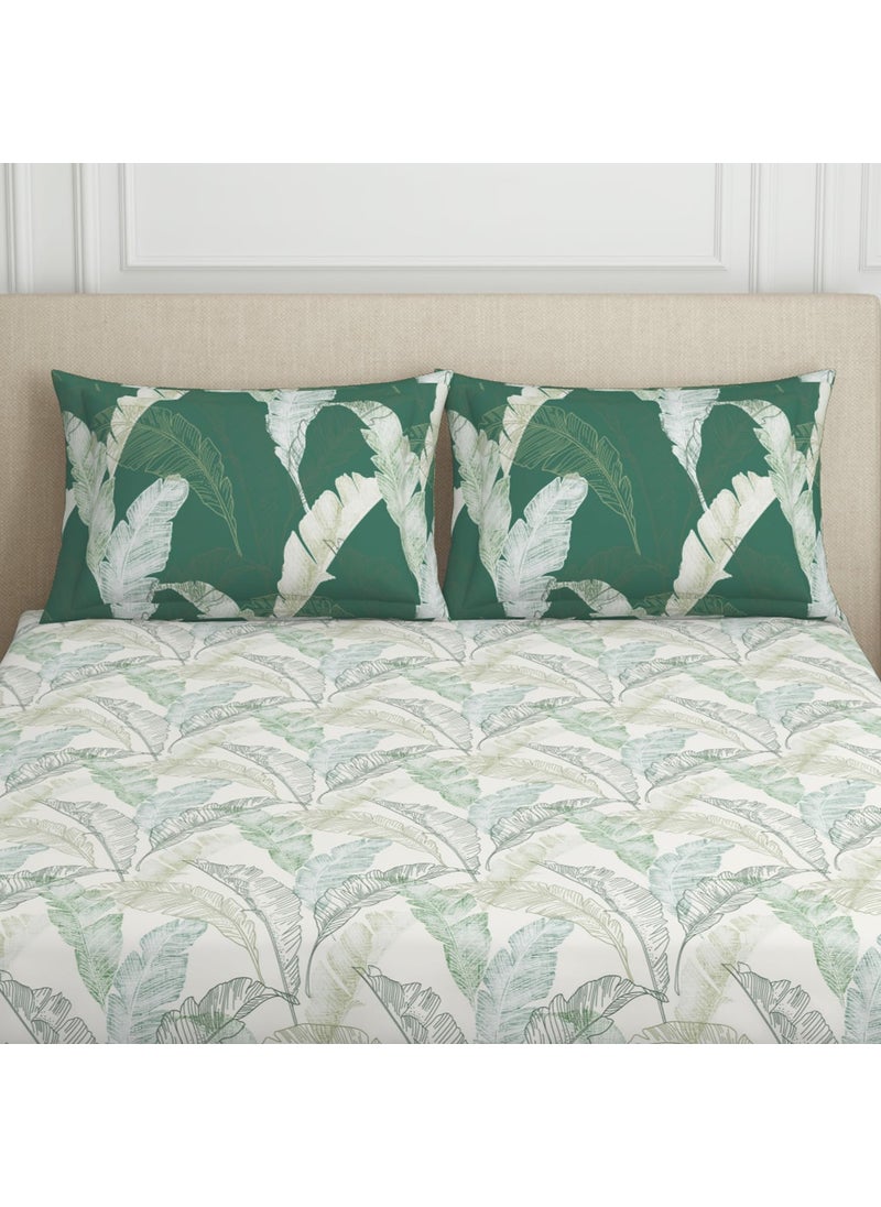 SPACES SPACES 100 Cotton Double Bedsheet with 2 Pillow Covers Size 88 x 100 inch 132 TC Bed Sheet for Double Bed Breathable Pure Cotton Queen Size Bedsheet Tropica Floral Light Green  - Image 4