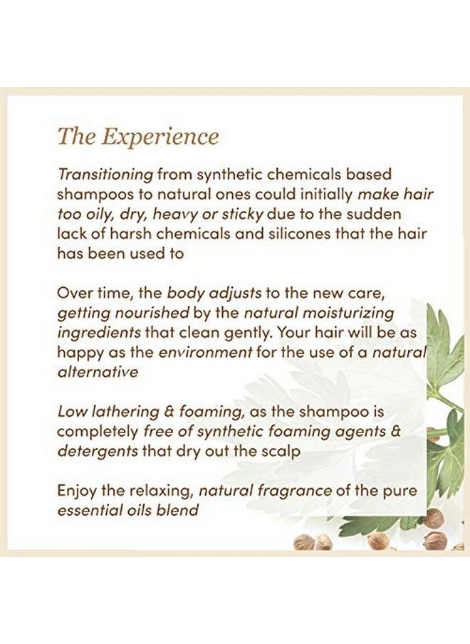 Earthy Blends Shampoo | Sls & Paraben Free | Daily Use Mild Shampoo | 100Ml - pzsku/Z3CABB503A6AF0F7DA15BZ/45/_/1658838852/a4fc5c57-779a-479a-9889-3aa2bd271ce7