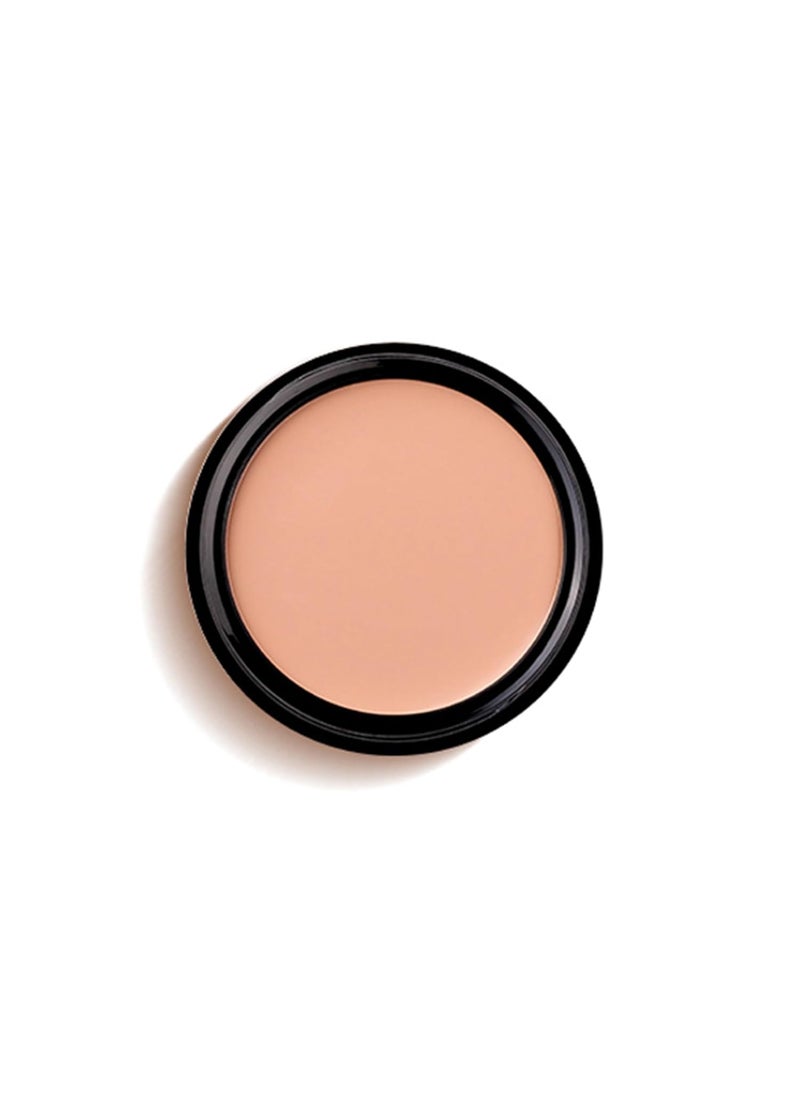 Mallofusa Mallofusa Single Color Face Makeup Concealer Foundation Palette Creamy Moisturizing Concealing 049oz Dark Beige 