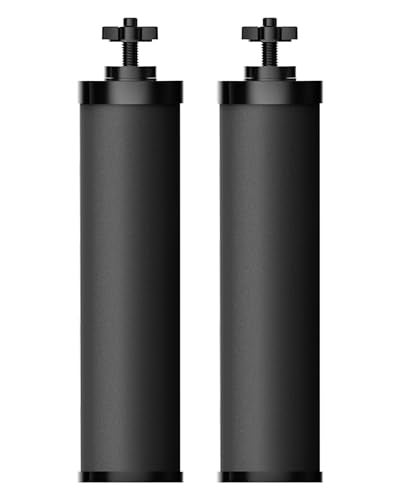 AquaCrest AQUA CREST Gravity Water Filter Replacement for Berkey BB92 Black Carbon Filter Compatible with Purewell ProOne Waterdrop Gravity Water Filter System NSFANSI 42372 Certified 2 Pack - Image 1