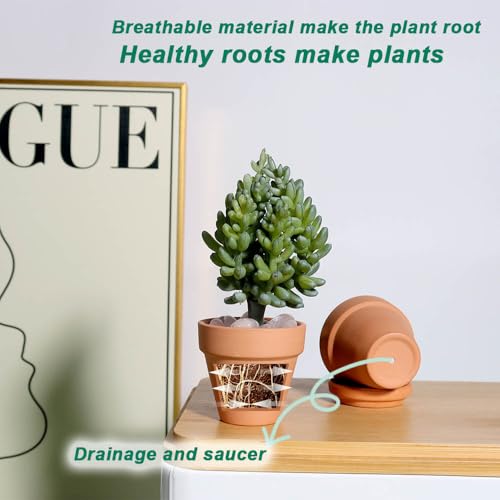 vensovo 48 Pcs 2" Tiny Terracotta & Terra Cotta Pots with Drainage - Small Mini Clay Ceramic Pottery Planter Ideal for Indoor/Outdoor Plants, Crafts, Wedding Favors - Image 4