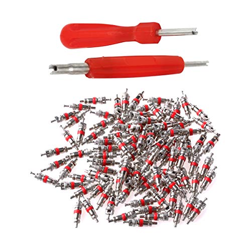 Lantee 2-in-1 Tire Repair Tool Set with Valve Core Removers and 100 Replacement Valve Stem Cores - Ideal for Cars, Trucks, Motorcycles, and More - Image 1